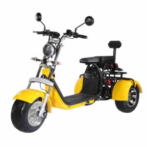 E-TRIKE Roller CP-3 2000W 40Ah EEC COC 45kmh