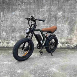 Chopper E-Bike Rooder cb02b 500w 20a Lithium-Akku