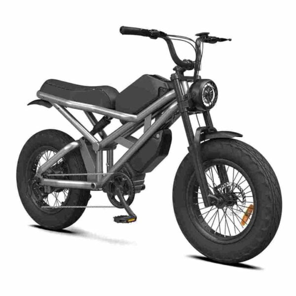 Bestes elektrisches Fatbike Deutschland zu verkaufen