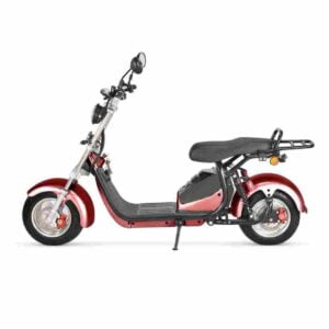 Bestes Fat Tire E-Bike Kanada Deutschland zu verkaufen