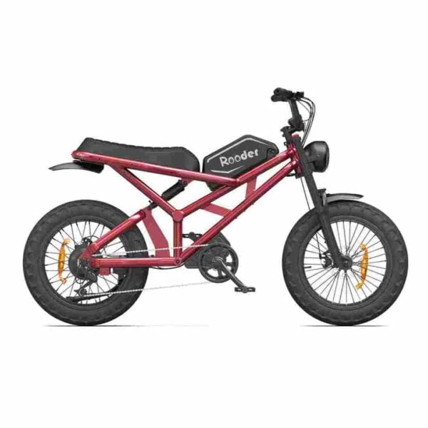 Citycoco Elektrofahrrad Deutschland zu verkaufen