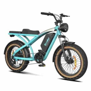 Preis für fettes Elektrofahrrad Deutschland zu verkaufen