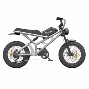 Fat Tire Elektrofahrrad Deutschland zu verkaufen