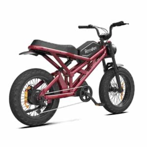 Fat Wheel Elektrofahrrad Deutschland zu verkaufen