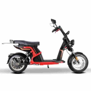 Preis für faltbares Elektrofahrrad Deutschland zu verkaufen