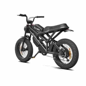 Leichtes zusammenklappbares Elektrofahrrad Deutschland zu verkaufen