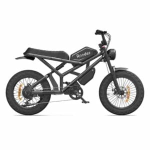 Leichtes zusammenklappbares Elektrofahrrad Deutschland zu verkaufen