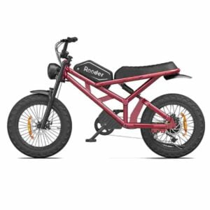 Motorrad elektrisch für Erwachsene Deutschland zu verkaufen