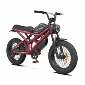 Singlespeed-E-Bike Deutschland zu verkaufen