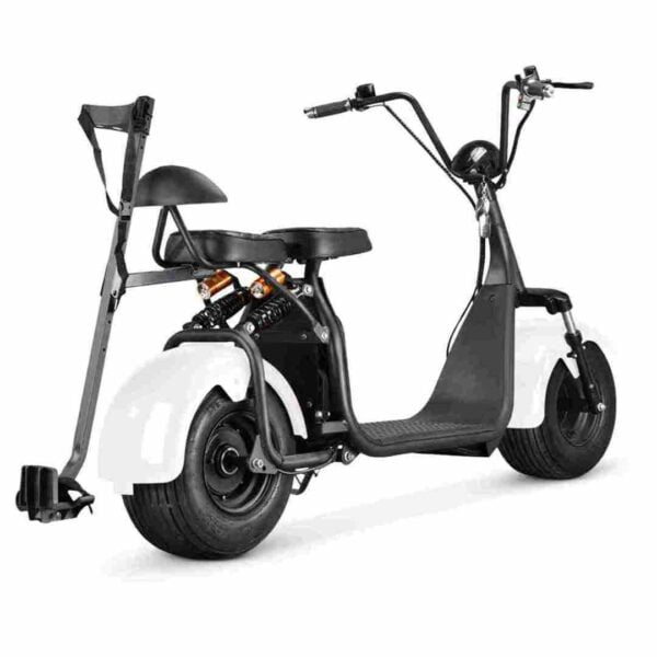 Elektro-Motorrad mit Straßenzulassung für Erwachsene zu verkaufen