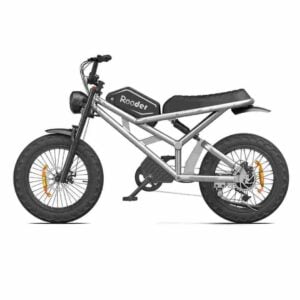 Großhandel mit Fat Tire Elektrofahrrädern Deutschland zu verkaufen